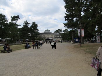 奈良国立博物館 (5).JPG