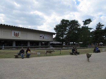 奈良国立博物館 (7).JPG