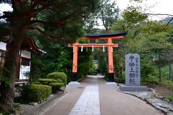 宇治上神社 (2) (Small).JPG