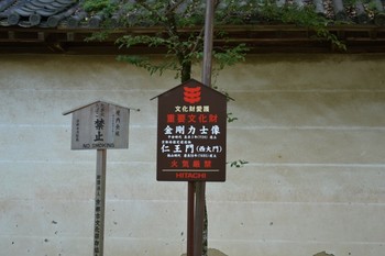 醍醐寺 (1).JPG