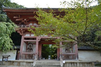 醍醐寺 (3).JPG